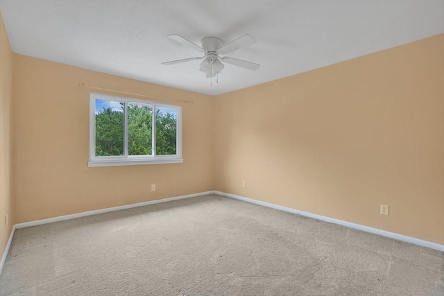 43 Meadowbrook Ln Unit 43, Palmer, MA 01069 - unfurnished room featuring ceiling fan and carpet floors