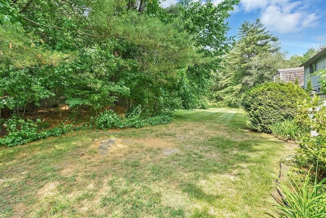 43 Meadowbrook Ln Unit 43, Palmer, MA 01069 - view of grassy yard
