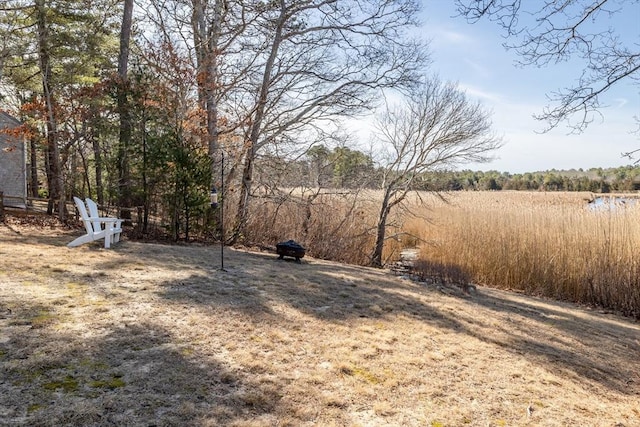 1 Ladd Ave, Wareham, MA 02571 - view of yard