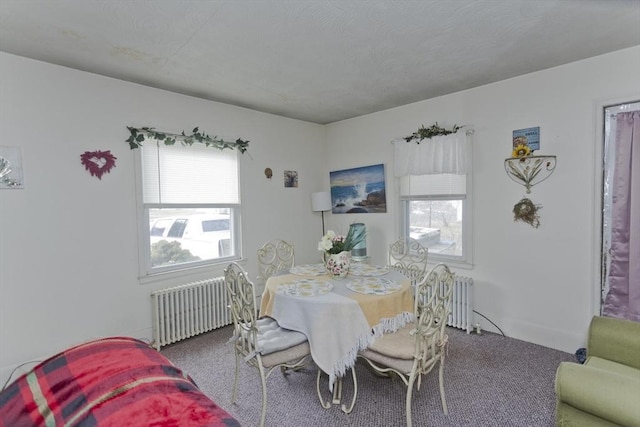 dining room featuring radiator heating unit and carpet flooring