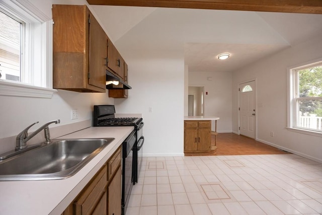 27 Union St Unit 27, Natick, MA 01760 - kitchen featuring brown cabinetry, light countertops, dishwasher, and under cabinet range hood