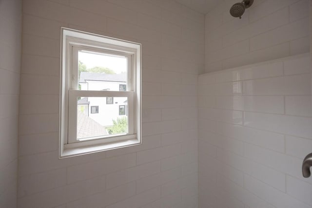 27 Union St Unit 27, Natick, MA 01760 - bathroom view of a tile shower