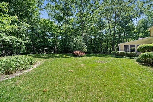 11 Laurel Dr, Scituate, MA 02066 - view of grassy yard