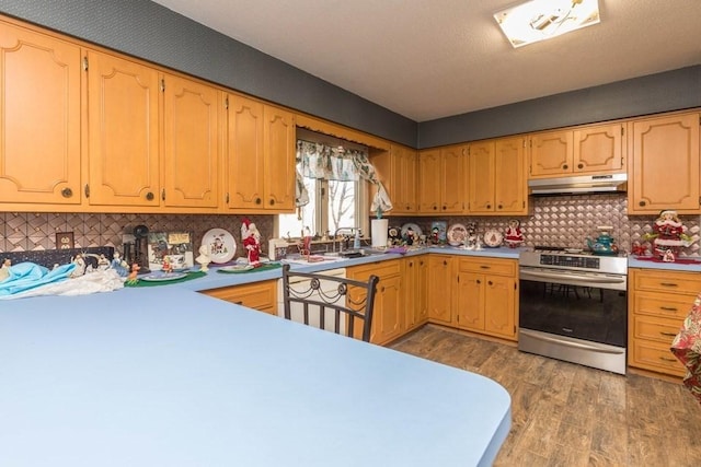 kitchen with tasteful backsplash, sink, stainless steel range, and hardwood / wood-style flooring