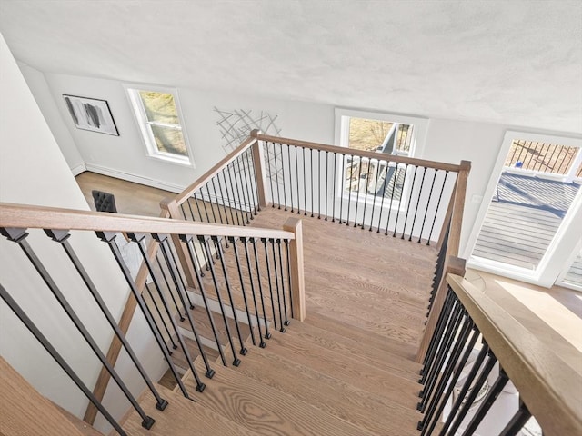 stairs with a healthy amount of sunlight and hardwood / wood-style flooring