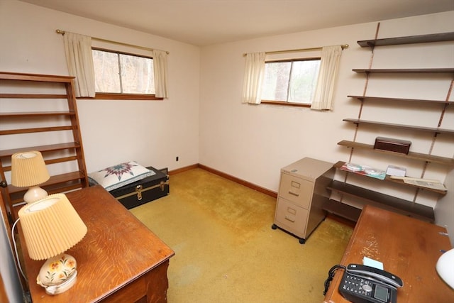 office with carpet floors and baseboards