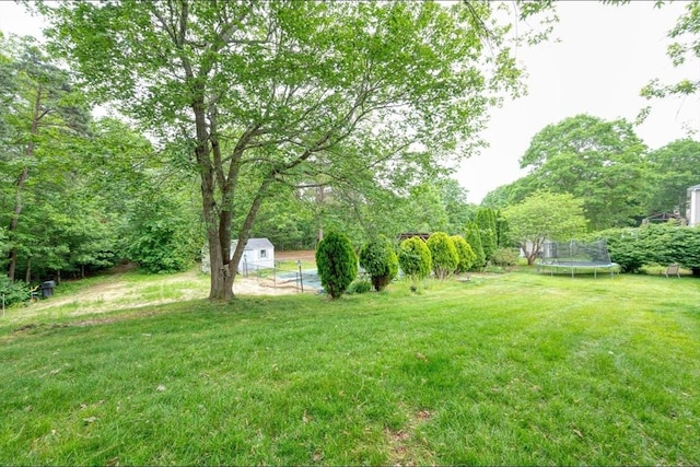 67 Raymond Rd, Plymouth, MA 02360 - view of grassy yard with a trampoline and a storage unit