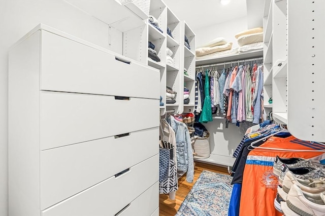 115 Westbourne Ter Unit 1, Brookline, MA 02446 - spacious closet with wood finished floors