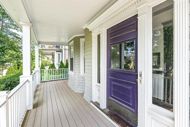 115 Westbourne Ter Unit 1, Brookline, MA 02446 - view of wooden porch
