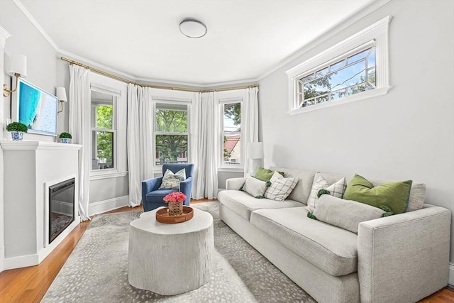 115 Westbourne Ter Unit 1, Brookline, MA 02446 - living area featuring wood finished floors, a glass covered fireplace, and crown molding