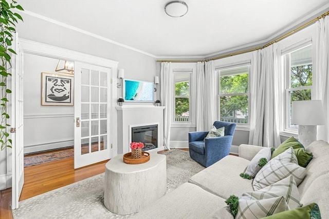 115 Westbourne Ter Unit 1, Brookline, MA 02446 - living area with wood finished floors, a glass covered fireplace, crown molding, and baseboard heating