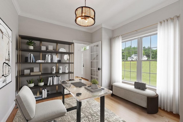LOT16 Rawson Farm, Mendon, MA 01756 - office space featuring a wealth of natural light, light wood-style floors, and ornamental molding