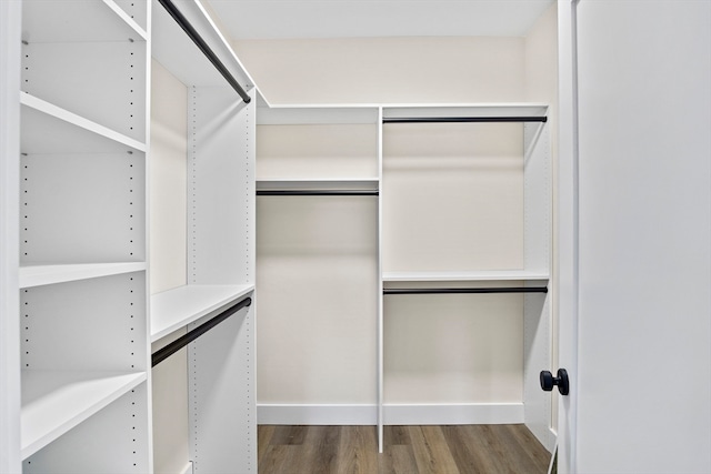 spacious closet featuring wood-type flooring