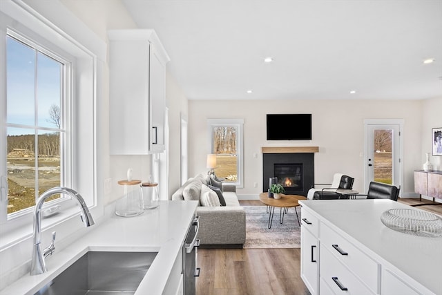 kitchen featuring a wealth of natural light, sink, hardwood / wood-style floors, and white cabinetry