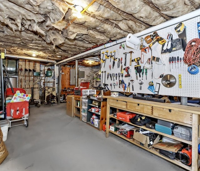 storage room with electric panel