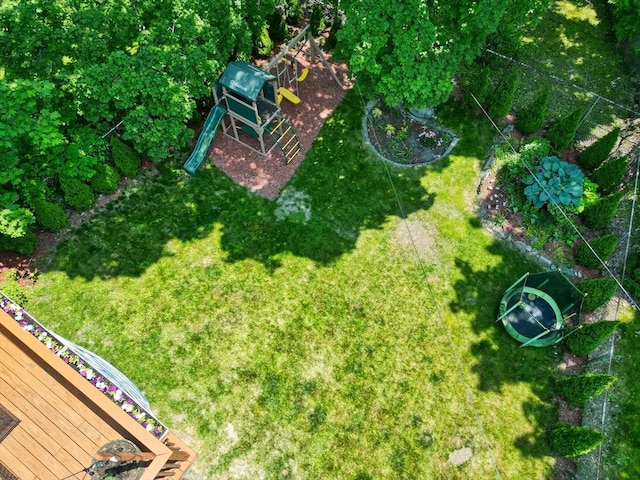 drone / aerial view