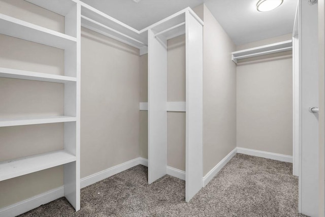 walk in closet featuring carpet