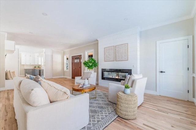 living room with a large fireplace, ornamental molding, and light hardwood / wood-style flooring