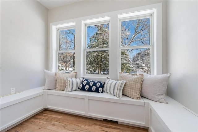 living area featuring light hardwood / wood-style flooring