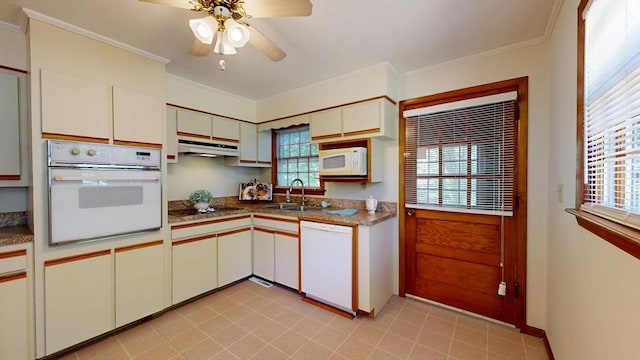 40 Revere St, Gloucester, MA 01930 - kitchen with white appliances, under cabinet range hood, healthy amount of natural light, ceiling fan, and crown molding
