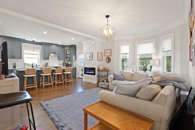 living room with an inviting chandelier, dark wood-type flooring, and crown molding