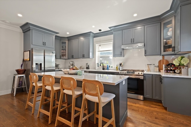 kitchen with gray cabinetry, appliances with stainless steel finishes, and dark wood-type flooring