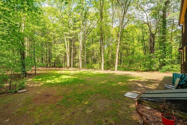 53 Greenleaf Dr, Hampden, MA 01036 - view of yard with a forest view