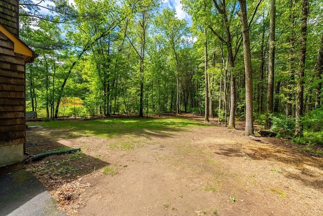 53 Greenleaf Dr, Hampden, MA 01036 - view of yard with a forest view
