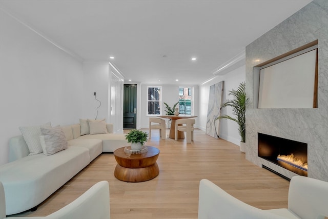 living room with a large fireplace and light hardwood / wood-style floors