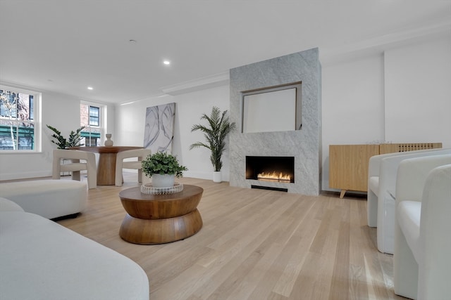 living room featuring light wood-type flooring and a fireplace