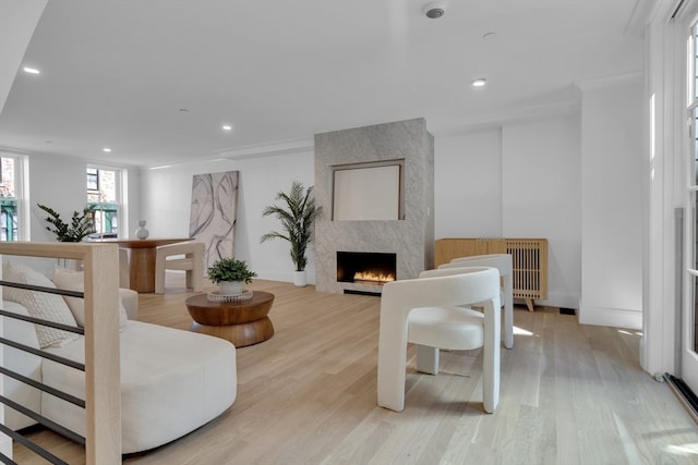 living room with a large fireplace and light wood-type flooring