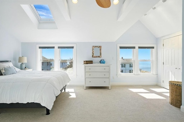 119 Fort Point Rd, Weymouth, MA 02191 - bedroom featuring a skylight, carpet, baseboards, and multiple windows