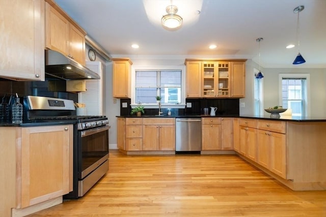 68 Line St Unit 2, Somerville, MA 02143 - kitchen with under cabinet range hood, stainless steel appliances, light brown cabinetry, light wood-type flooring, and ornamental molding