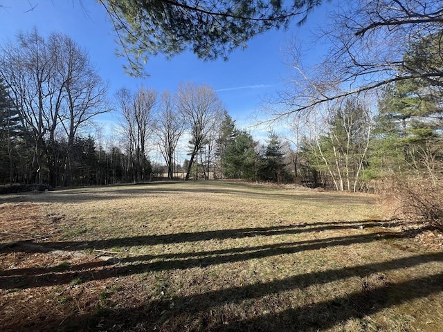 5V Red Gap Rd, Wilbraham, MA 01095 - view of grassy yard with a forest view