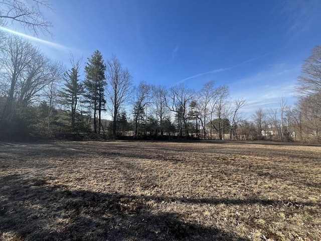 5V Red Gap Rd, Wilbraham, MA 01095 - view of yard