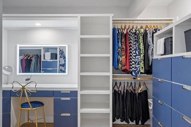 view of spacious closet