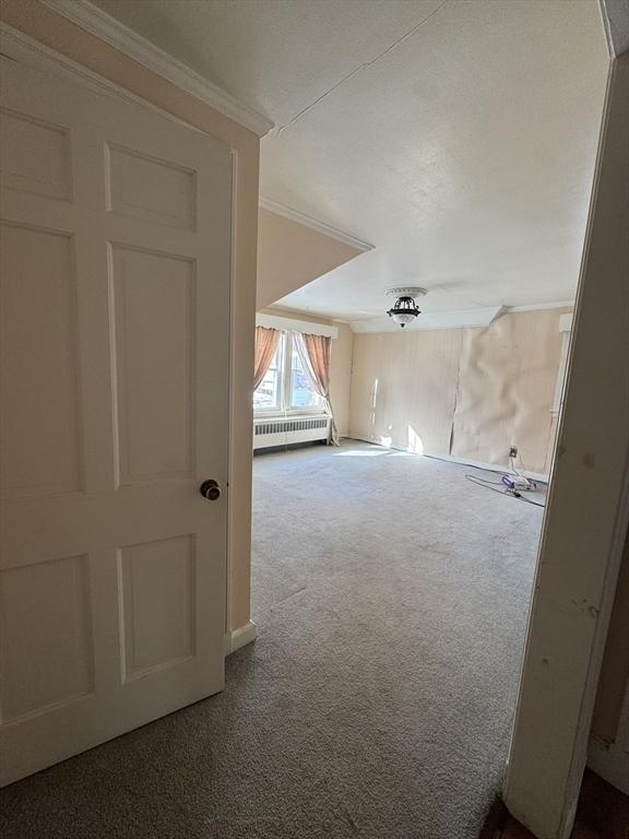 bonus room featuring carpet floors and radiator