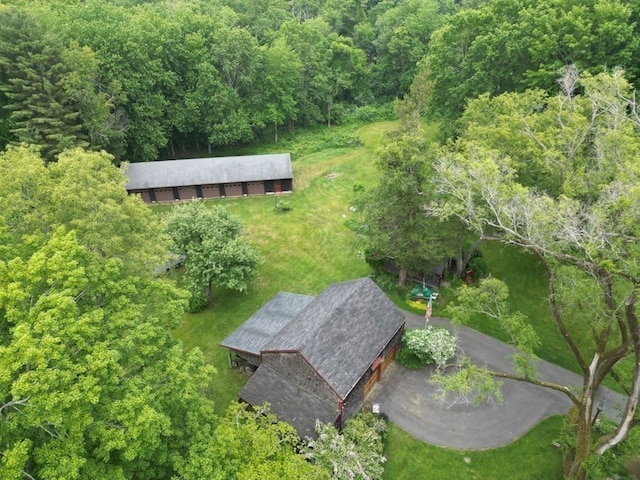 bird's eye view