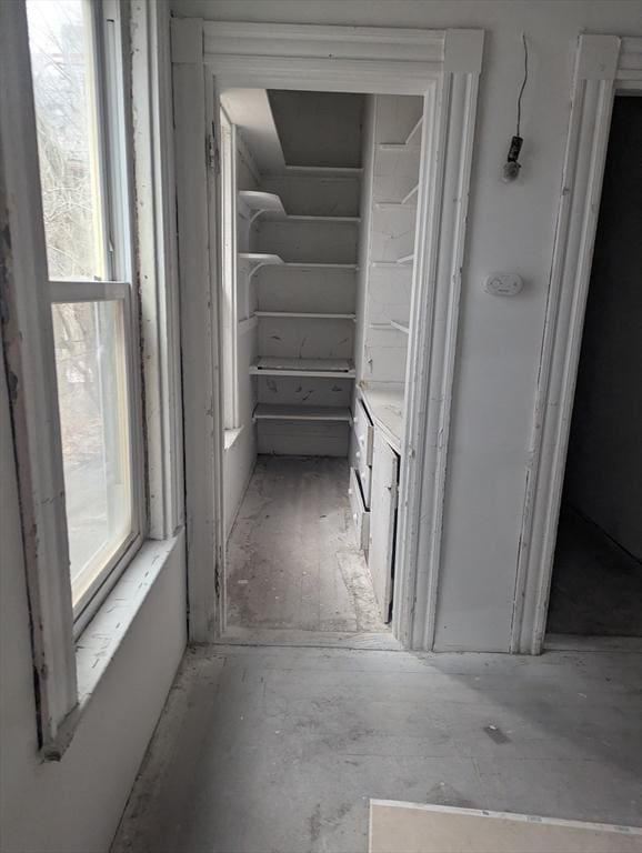 21 Mclellan St, Boston, MA 02121 - corridor featuring healthy amount of natural light