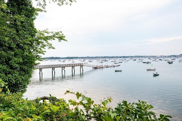 dock area with a water view