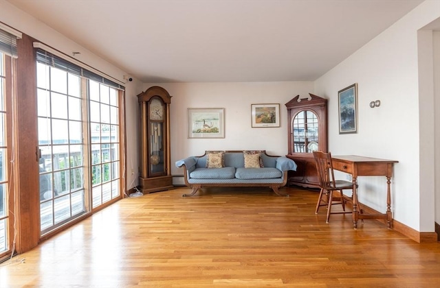 sitting room with light hardwood / wood-style floors