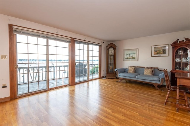 living room featuring light wood-type flooring