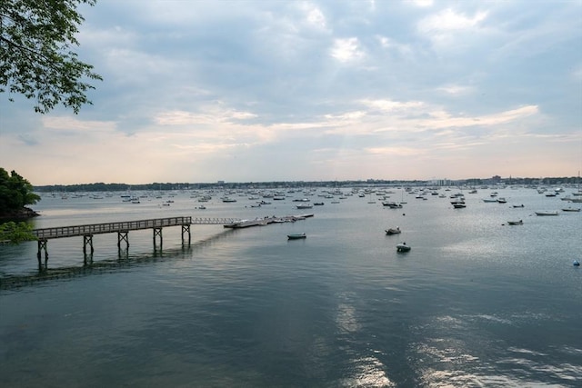 dock area featuring a water view