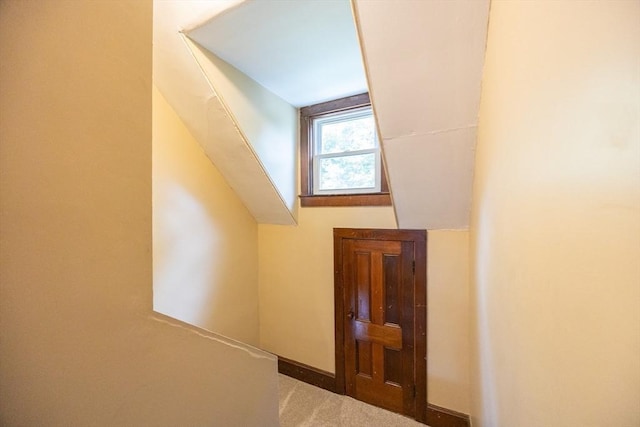 14 Baker St, Foxboro, MA 02035 - staircase with carpet flooring and baseboards