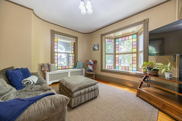 14 Baker St, Foxboro, MA 02035 - living area with radiator heating unit, light wood-style flooring, healthy amount of natural light, crown molding, and a chandelier