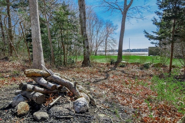 54 Converse Rd, Marion, MA 02738 - view of local wilderness