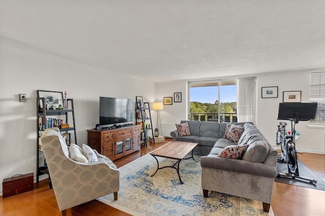 living room featuring hardwood / wood-style floors and ornamental molding