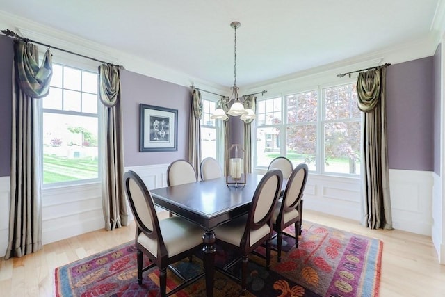 dining area featuring a chandelier, wood finished floors, a wainscoted wall, crown molding, and plenty of natural light