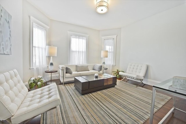 living room with hardwood / wood-style floors