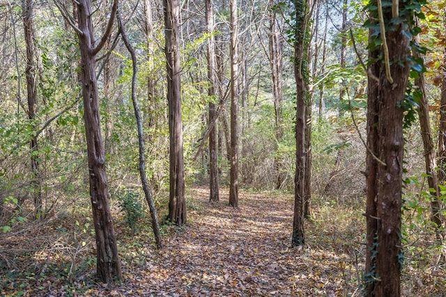 6 Snow Way, Orleans, MA 02653 - view of woods